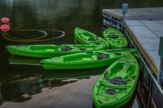 2 Hour Kayak Lessons On Lady Bird Lake - The pre-launch lesson: short coaching that gets you moving