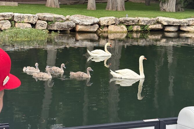 2 hr Lake Austin Boat Cruise. BYOB (Private - up to 12 guests) - Price and value: $498 for up to 12, and how that pencils out