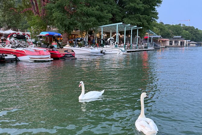 2 hr Lake Austin Boat Cruise. BYOB (Private - up to 12 guests) - Who will love this cruise most