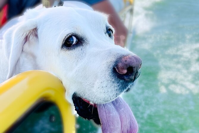 3 Hour Private Boat Charter on Lake Travis for up to 12 People - Hurst Harbor Marina Meeting Point: Keep It Simple and Get There Ready