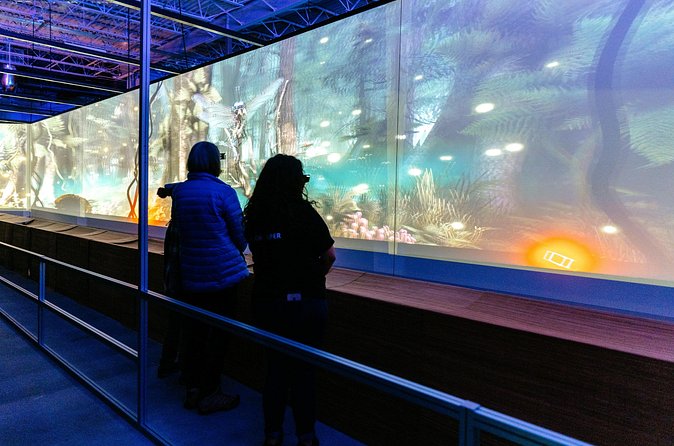 Africa Hologram Adventure at Zoocade - Comfort, 3D Glasses, and Health Notes You Should Not Skip