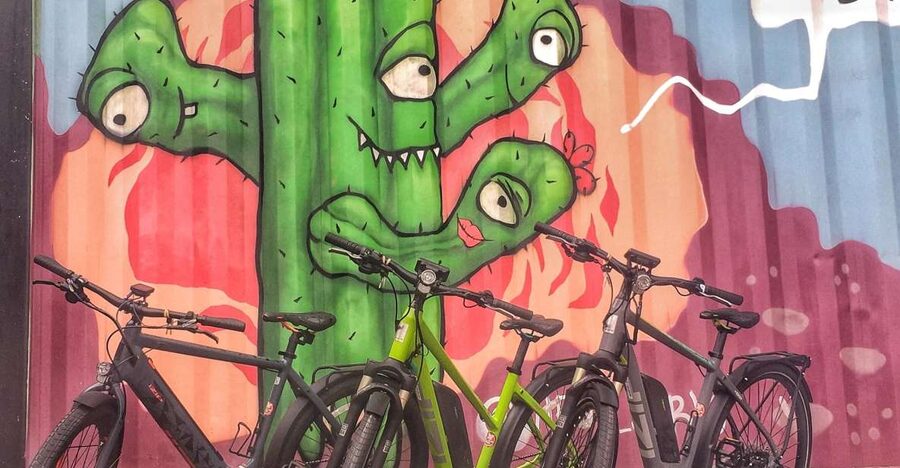 Austin: Electric Bike City Sightseeing Tour - Barton Springs: The Spring-Fed Pool Stop You Can’t Ignore