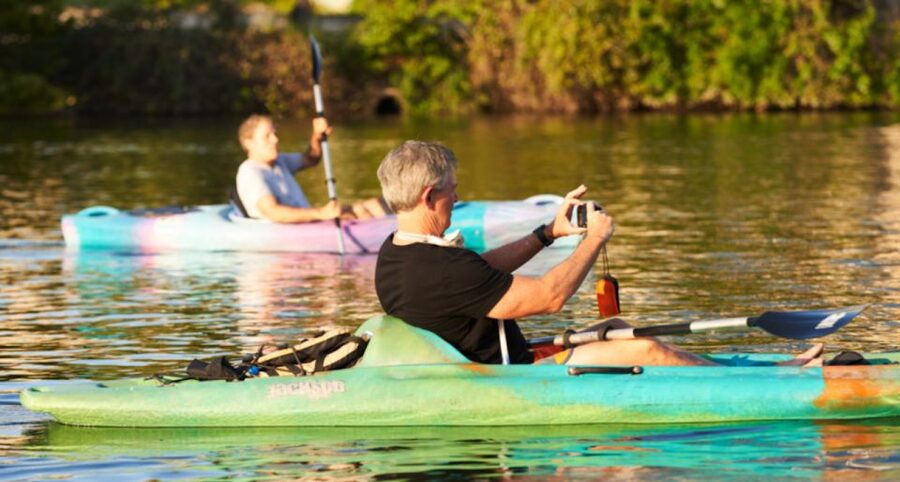 Austin: Journey to the Springs Guided Tour - Barton Springs in focus: the tour’s cool-water payoff