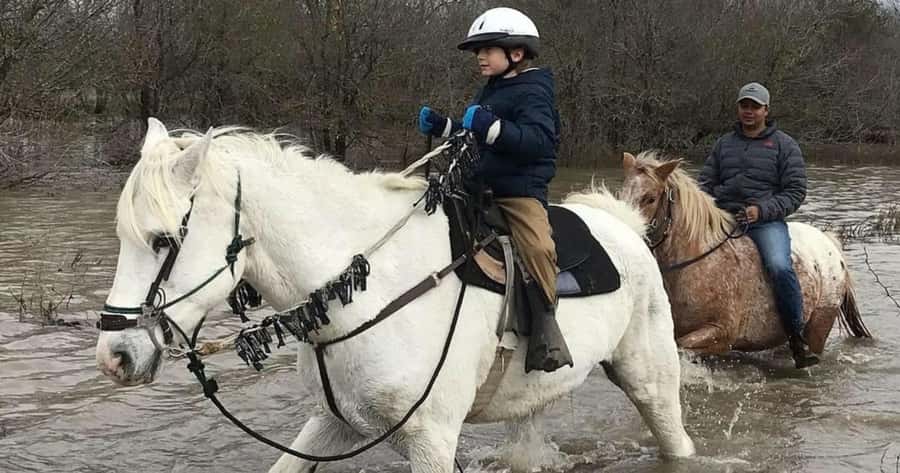 Austin: Maverick Horsemanship Trail Ride - Key points before you go