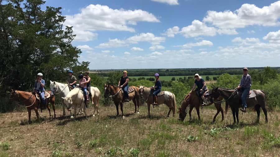 Austin: Maverick Horsemanship Trail Ride - What 210 Minutes Adds Up To on Horseback