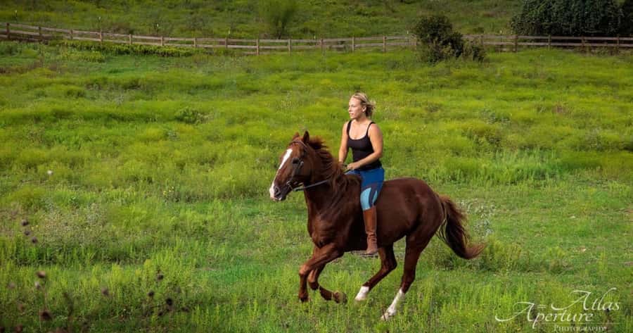 Austin: Maverick Horsemanship Trail Ride - Safety Briefing, Then Mount-Up Without Chaos