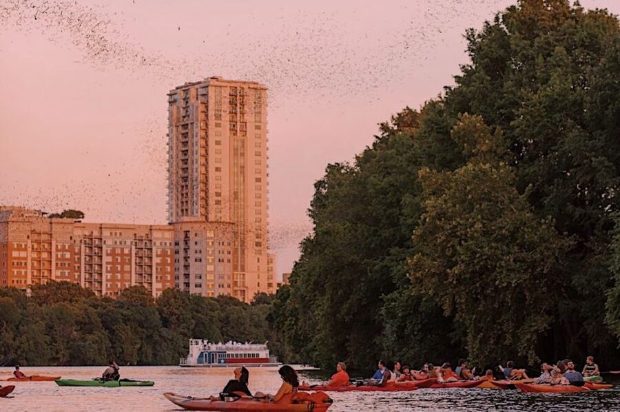 Austin: Sunset Bat Watching Kayak Tour - Quick Take: What Makes This Tour Work