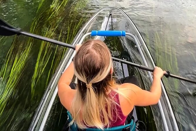 Clear Kayak Day Adventure Tour in San Marcos - Price and Value: Is $65 Worth It?