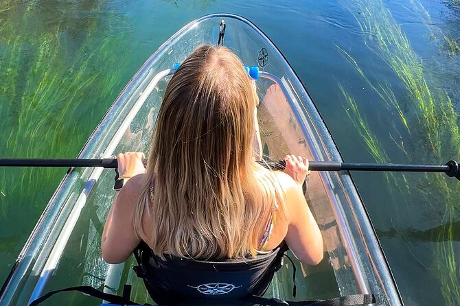 Clear Kayak Day Adventure Tour in San Marcos - The Clear Kayak View: Fish, Crawfish, and the River Bed