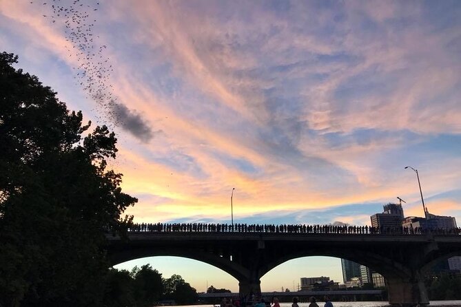 Congress Avenue Bat Bridge Kayak Tour in Austin - Kayaking with no experience: what that first instruction really means