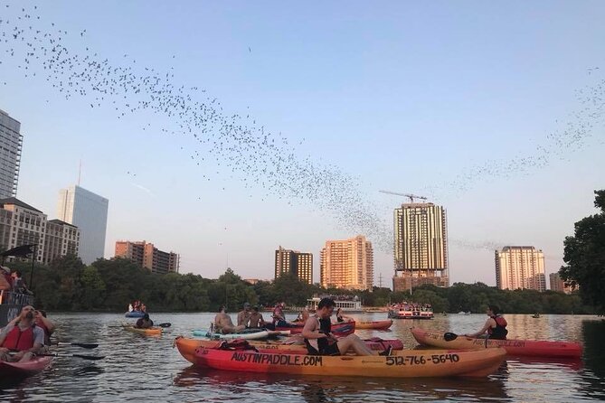 Congress Avenue Bat Bridge Kayak Tour in Austin - Guides, sound, and how to hear the facts without fighting the water