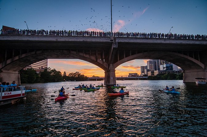 Congress Bridge Kayaking Bat Tour - Price and value: $54.99 for a guided, gear-included evening