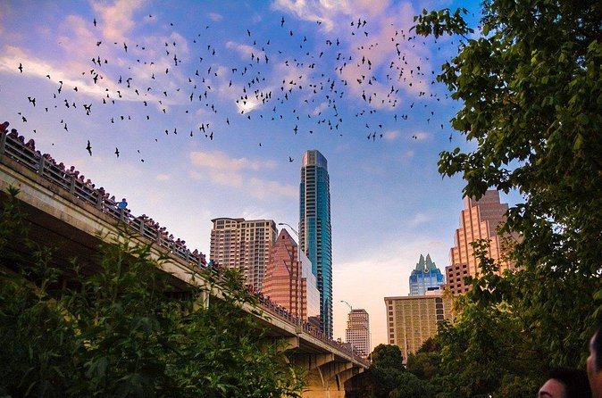 Congress Bridge Kayaking Bat Tour - Small-group comfort: why 10 travelers matters