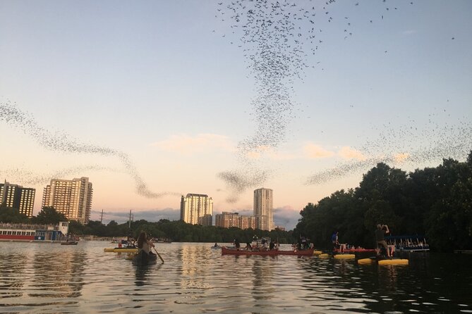 Downtown Austin Sunset Kayak Tour with 1.5 Million Bats - Key things to know before you paddle under Congress Bridge