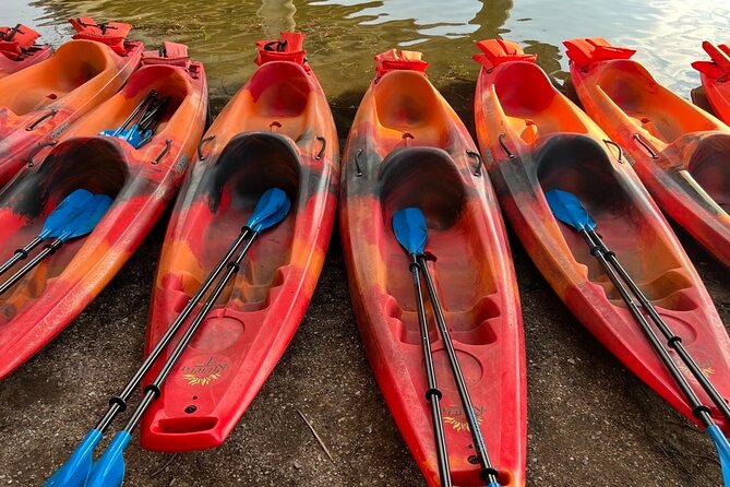 Downtown Austin Sunset Kayak Tour with 1.5 Million Bats - Guides make the trip: Aaron, Chris, Channing, Ross, and the how-to of bat watching