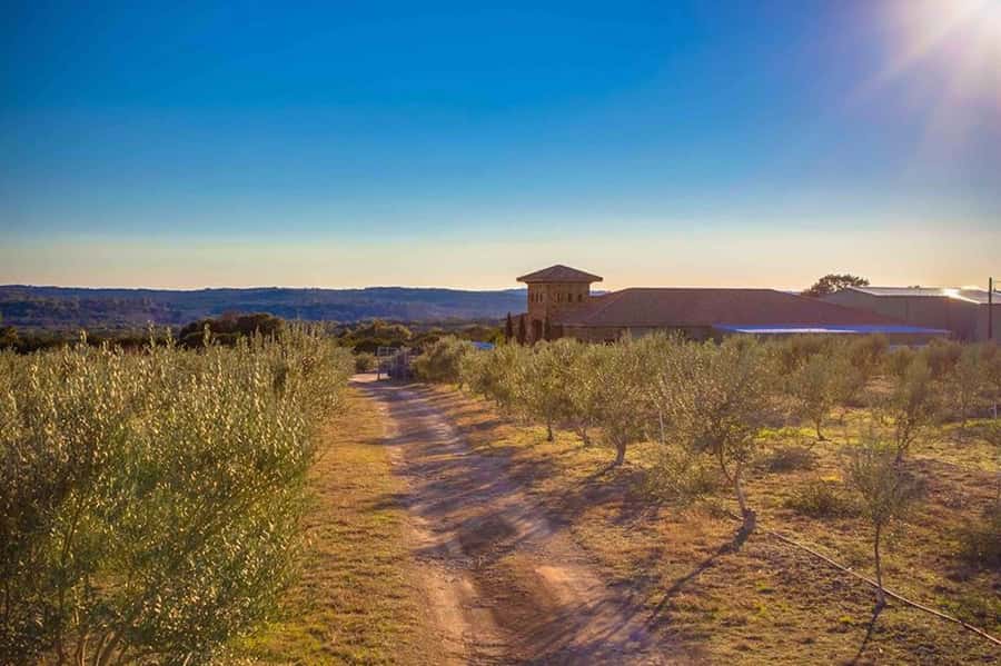 Dripping Springs: Olive Oil and Balsamic Vinegar Tasting - Who This Tasting Is For (and the one group to skip)