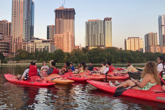 Evening Bat Watching Kayak Tour - Key things to know before you go
