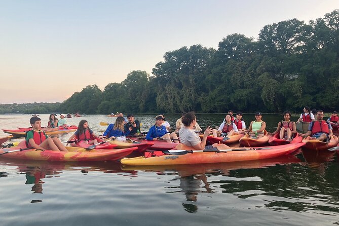 Evening Bat Watching Kayak Tour - Sunset Outbound and Downtown Lit Up on Return