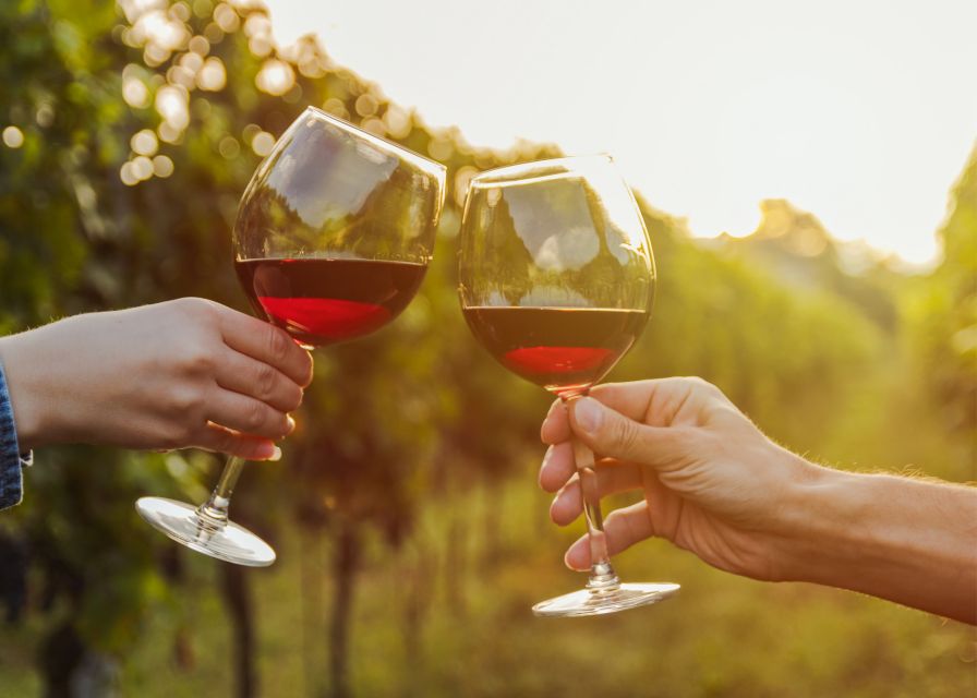 From Austin: Half-Day Hill Country Wine Shuttle - Winery stop 1 and stop 2: award-winning Hill Country tastings