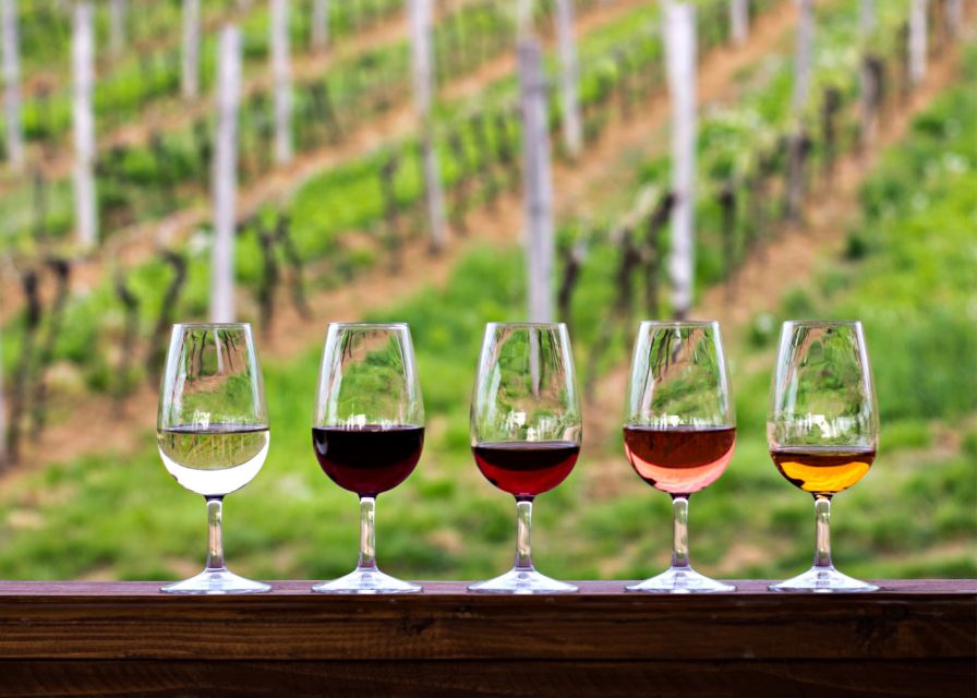 From Austin: Half-Day Hill Country Wine Shuttle - The St. Elmo Arts District finish: where Austin shows up again