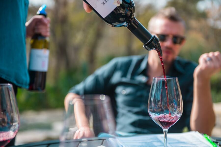 From Austin: Half-Day Hill Country Wine Shuttle - Mercedes Sprinter comfort, plus a guide who sets the tone