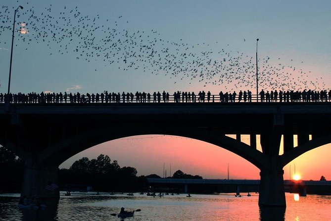 Guided Sunset Bat Kayak Tour in Austin - Key Points I’d Bookmark