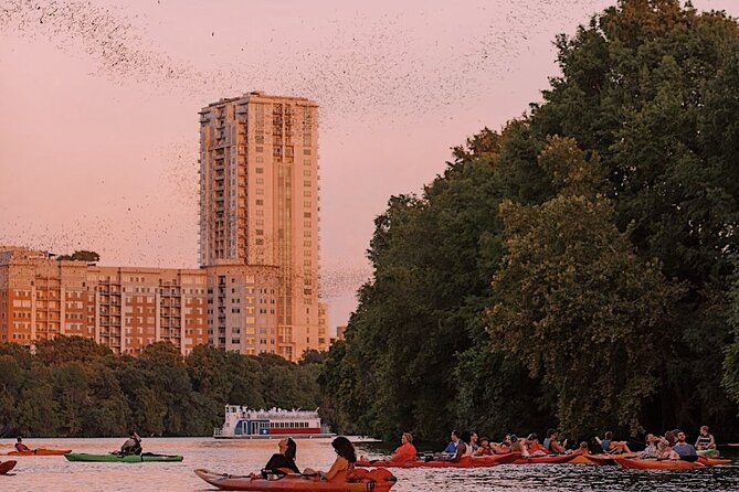 Guided Sunset Bat Kayak Tour in Austin - Sunset Paddling for Congress Avenue Bridge Bats