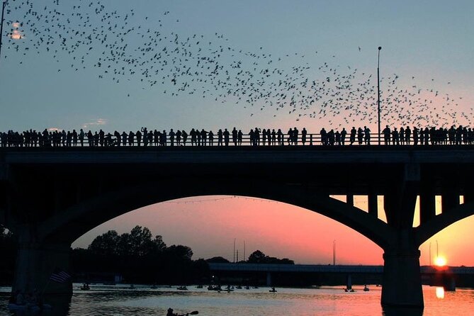Guided Sunset Bat Kayak Tour in Austin - Guides Make or Break the Experience