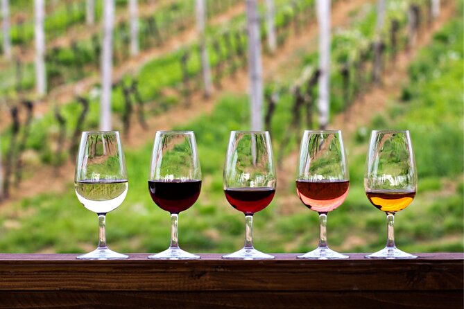 Half-Day Hill Country Wine Shuttle From Austin - A Half-Day Wine Plan That Starts in Downtown Austin