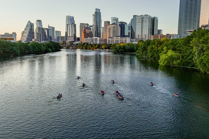 Kayak or Paddle Board Sunset Bat Tour - Key points worth knowing before you go