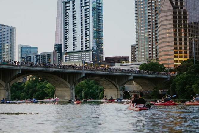 Kayak or Paddle Board Sunset Bat Tour - What the guides do (and why that matters for your comfort)
