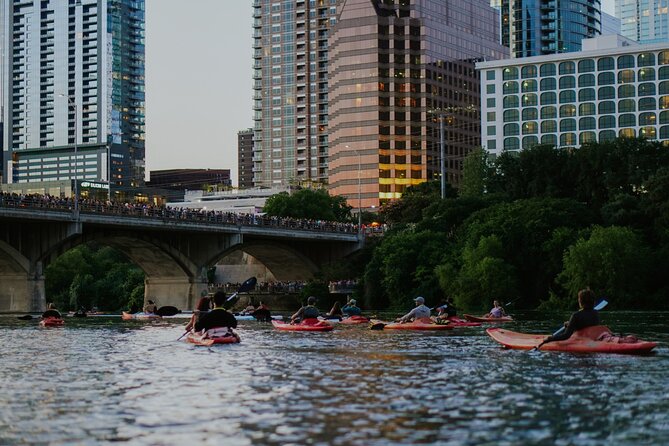 Kayak or Paddle Board Sunset Bat Tour - Who this tour suits best on a first trip to Austin