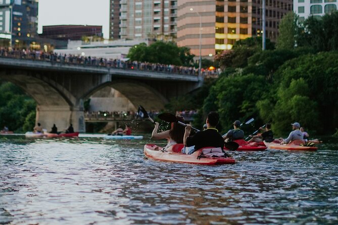 Kayak or Paddle Board Sunset Bat Tour - Should you book the Lady Bird Lake sunset bat kayak or SUP tour?