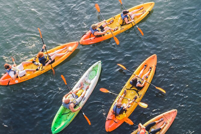 Kayak Rentals on Lady Bird Lake - Where You’ll Start: 74 Trinity St and Finding the Right Spot