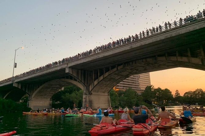 Sunset Skyline Kayak Tour - Getting on the water: gear up and learn your rhythm fast