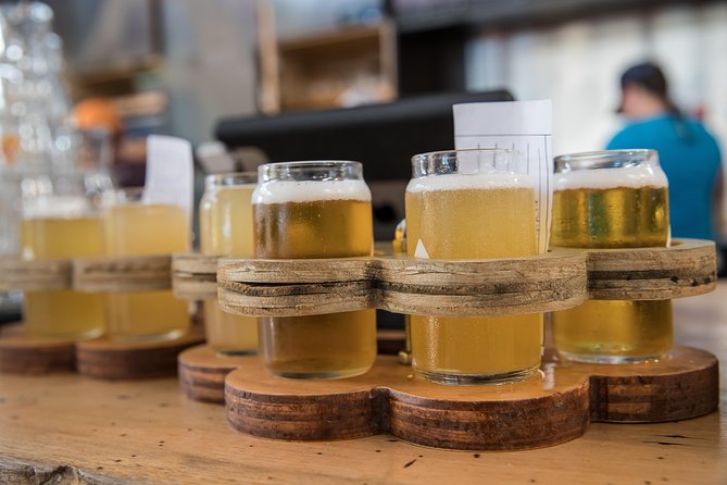 The Brew Bus: Austin Brewery Tour with Live Band - Live band on the bus: the part you’ll remember