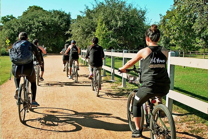 Town Lake Trail Bike Tour in Austin - Your 90-Minute Ride: How the Tour Keeps Flowing